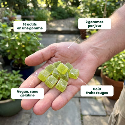 Main qui tient des gommes vertes à la mousse d'Irlande : 16 actifs, 2 gommes par jour, vegan, goût fruits rouges