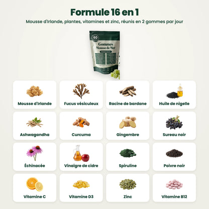 Formule 16 en 1 : les 16 actifs des Gommes Mousse de Mer Sarveni