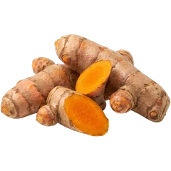 CURCUMA